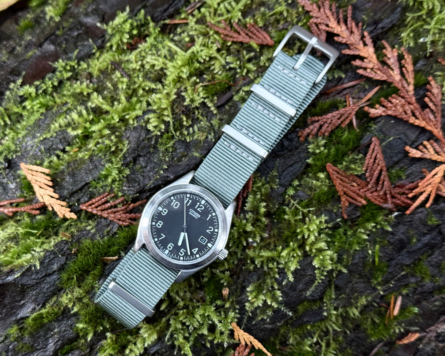 Citizen Quartz Field Watch